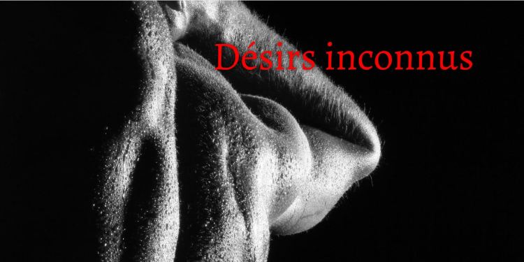 Désirs inconnus (série&nbsp;terminée)