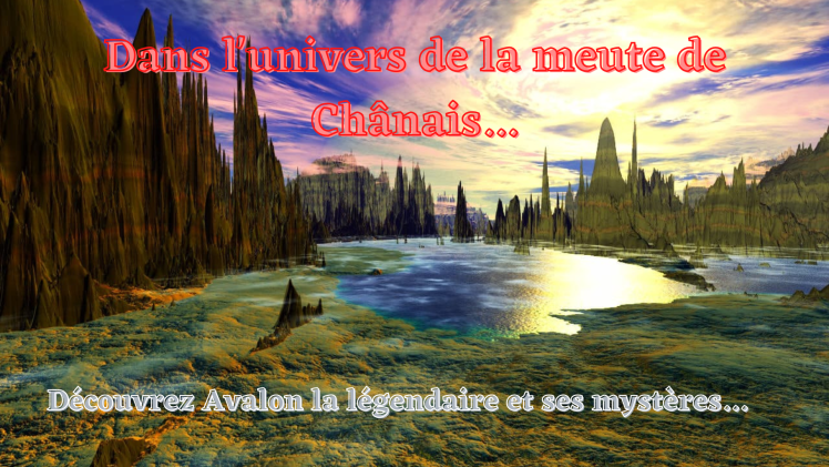 Dans l&rsquo;univers de la meute de&nbsp;Chânais…